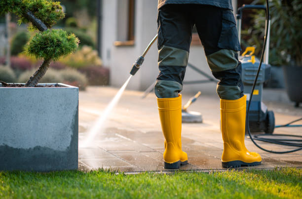 Best Pressure Washing Driveway  in Hanover, PA
